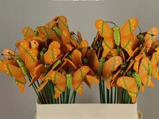 Πεταλούδες