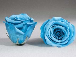 Forever Γαλάζιο - NEED TRANSLATION