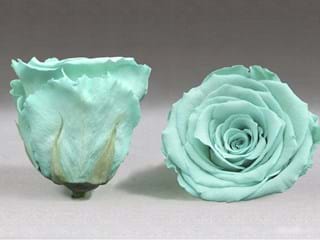 Forever Τυρκουαζ - NEED TRANSLATION