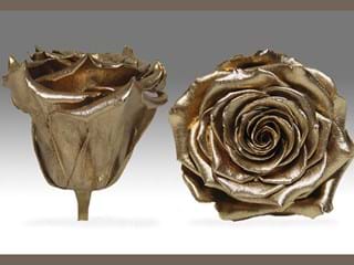 Forever Χρυσό Σ. - NEED TRANSLATION