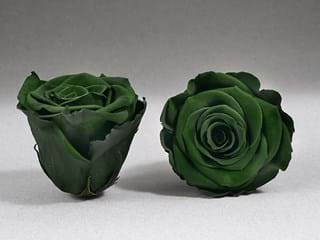 Forever Πράσινο Σ - NEED TRANSLATION