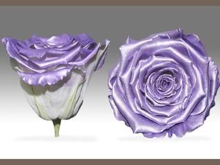 Forever Satin Lavender - NEED TRANSLATION