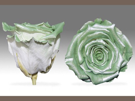 Forever Satin Green