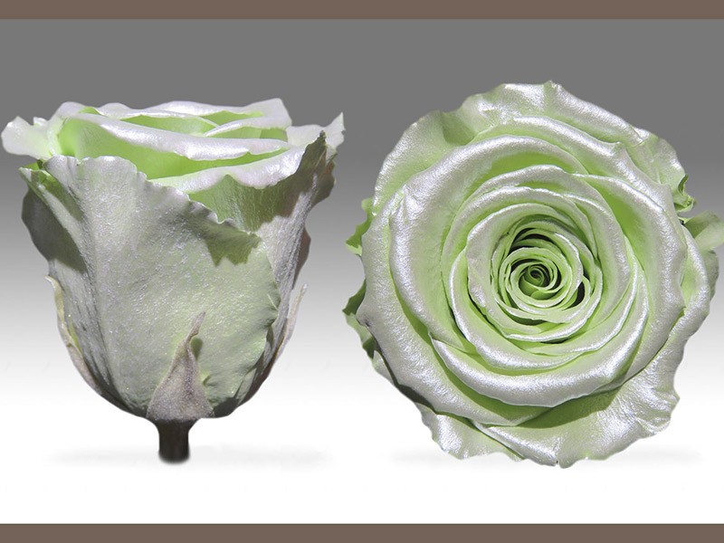 Forever Satin Mint