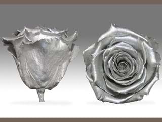 Forever Ασημί - NEED TRANSLATION