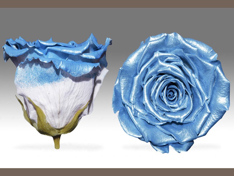 Forever Satin Blue
