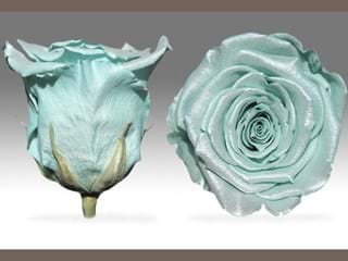 Forever Satin L Blue - NEED TRANSLATION