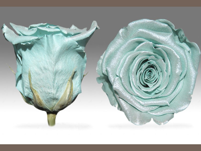 Forever Satin L Blue