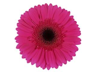 Ζέρμπερες Big Ben