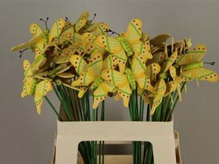 Πεταλούδες