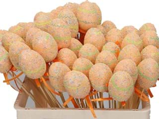 Αυγουλάκια Stick