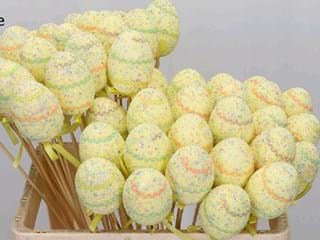 Αυγουλάκια Stick